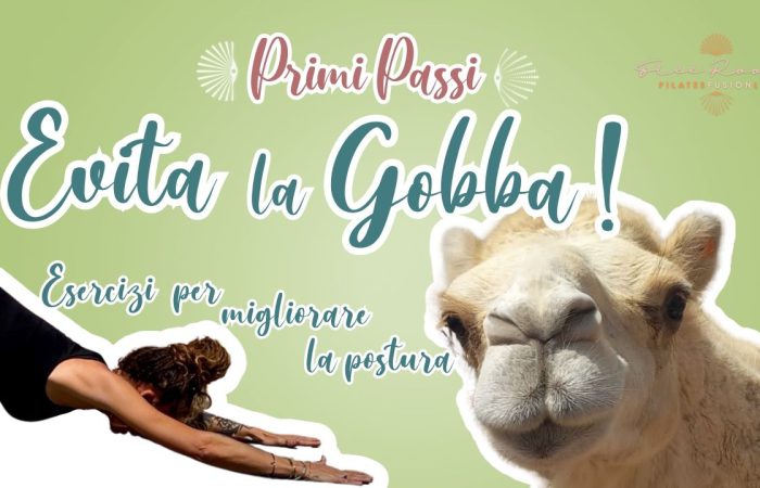 Lezioni Pilates Gratis stretching schiena